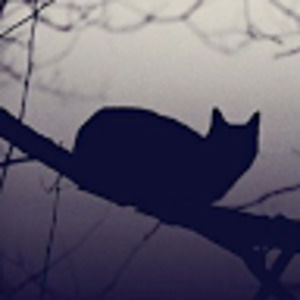 Meet your Posher, Kendall